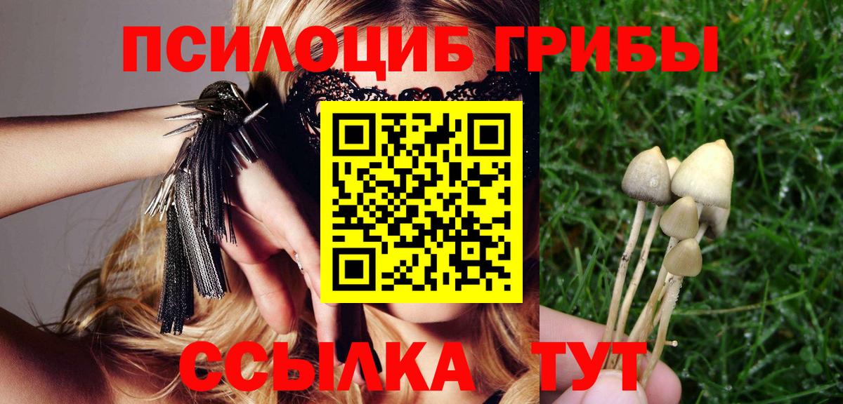 Галлюциногенные грибы Psilocybine cubensis  Вход с VPN  закладки  Урюпинск 
